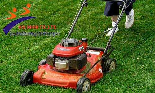 Vệ sinh máy cắt cỏ để kéo dài thời gian sử dụng